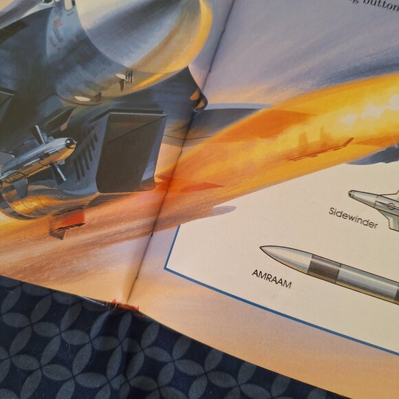 i can be a fighter pilot - Picture 5 of 7